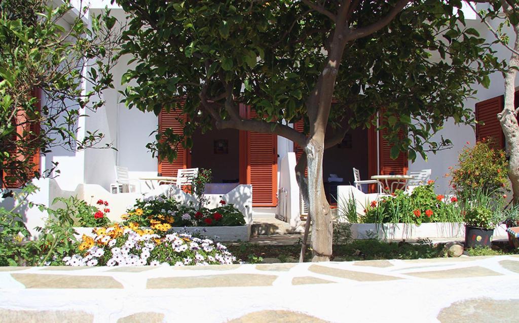 Helios Serifos Livadi  Exteriör bild